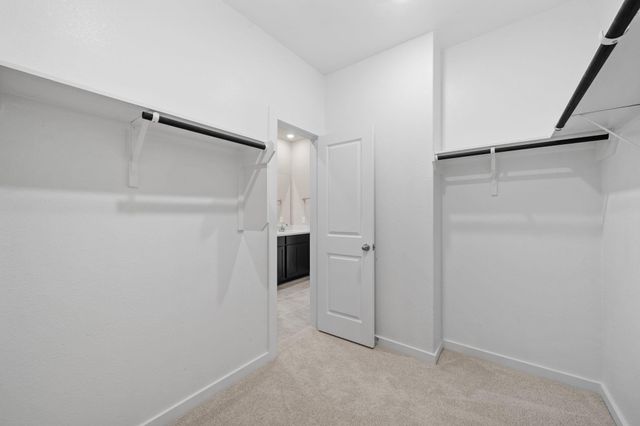 1923 Stargazer Lane, Angleton, TX 77515