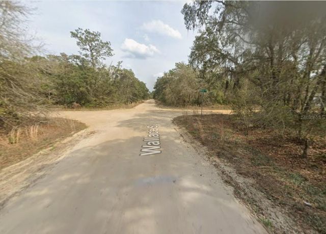 LOT 18 WALLACE STREET, Interlachen, FL 32148