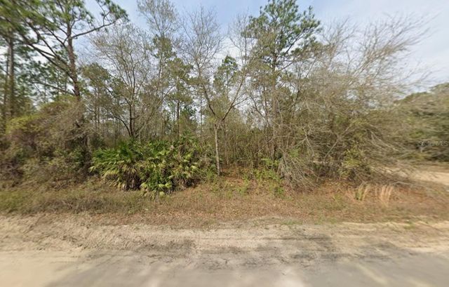LOT 18 WALLACE STREET, Interlachen, FL 32148