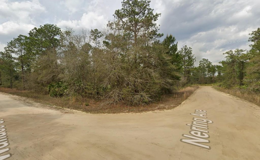 LOT 18 WALLACE STREET, Interlachen, FL 32148