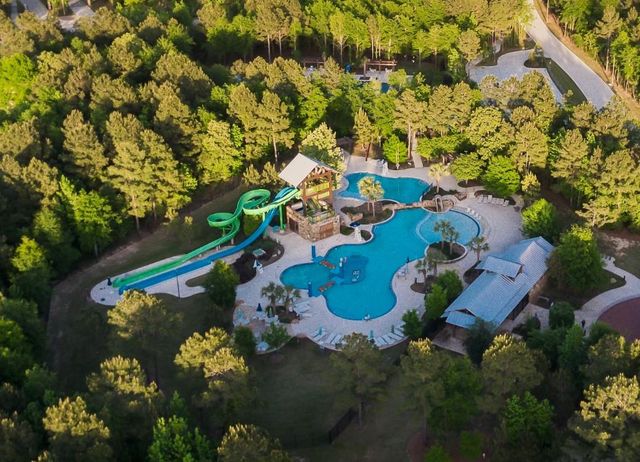 127 West Coralburst Loop, Montgomery, TX 77316