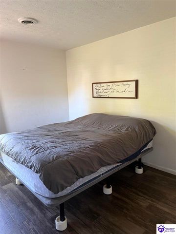 100 Cave Mill Court, Leitchfield, KY 42754