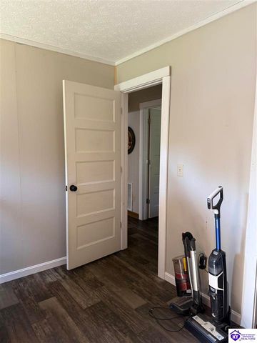 100 Cave Mill Court, Leitchfield, KY 42754