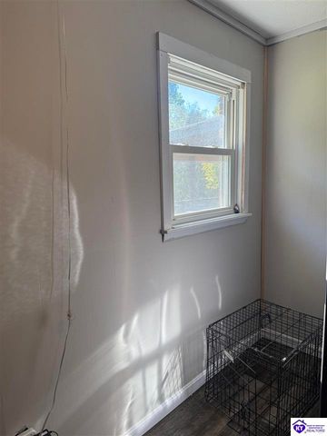 100 Cave Mill Court, Leitchfield, KY 42754