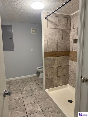 100 Cave Mill Court, Leitchfield, KY 42754