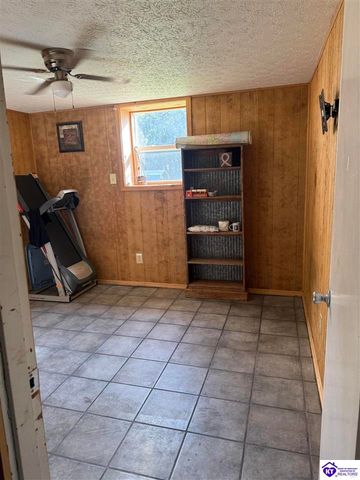 100 Cave Mill Court, Leitchfield, KY 42754