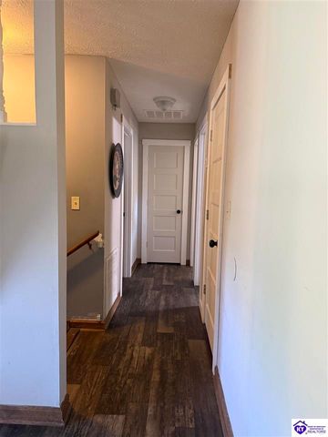 100 Cave Mill Court, Leitchfield, KY 42754