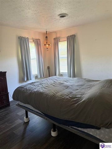 100 Cave Mill Court, Leitchfield, KY 42754