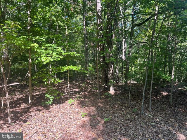 6028 LOST COVE DR, Mineral, VA 23117