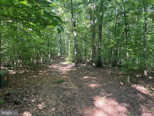 6028 LOST COVE DR, Mineral, VA 23117