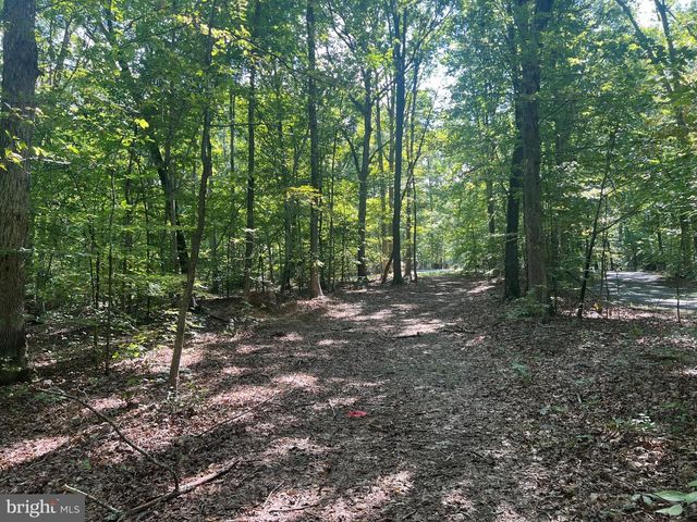 6028 LOST COVE DR, Mineral, VA 23117