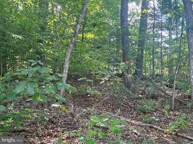 6028 LOST COVE DR, Mineral, VA 23117