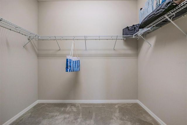 19341 SUNSET BAY DRIVE, Land O Lakes, FL 34638