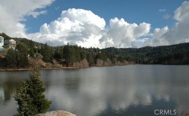 900 Lo Lane, Twin Peaks, CA 92391