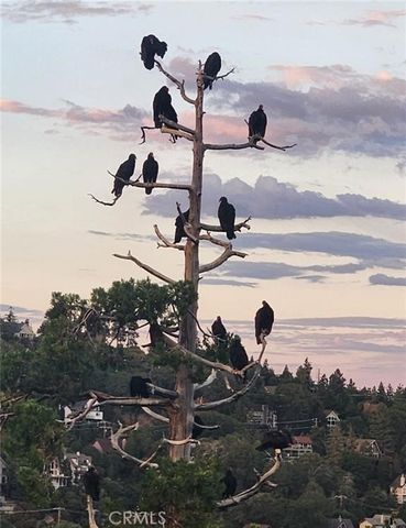 900 Lo Lane, Twin Peaks, CA 92391