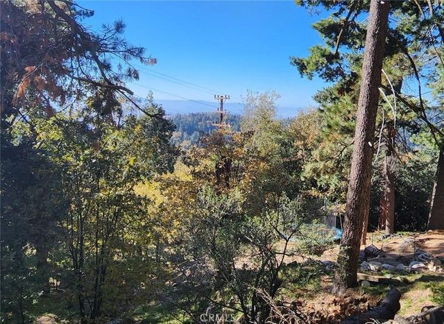 900 Lo Lane, Twin Peaks, CA 92391