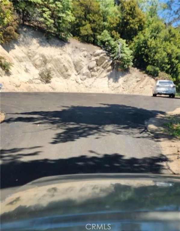 900 Lo Lane, Twin Peaks, CA 92391