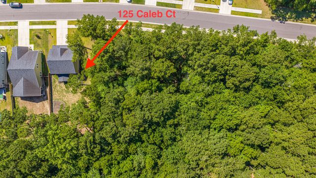 125 Caleb Court, Ladson, SC 29456
