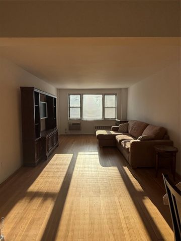 3 Birchwood Court 5B, Mineola, NY 11501