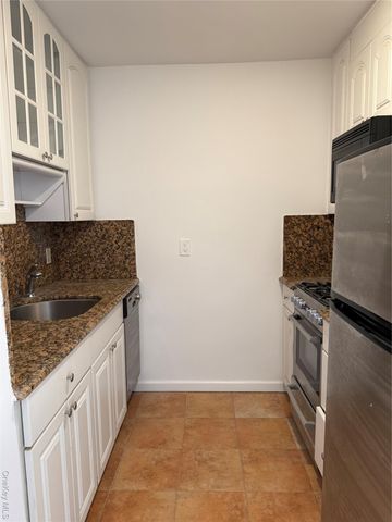 3 Birchwood Court 5B, Mineola, NY 11501