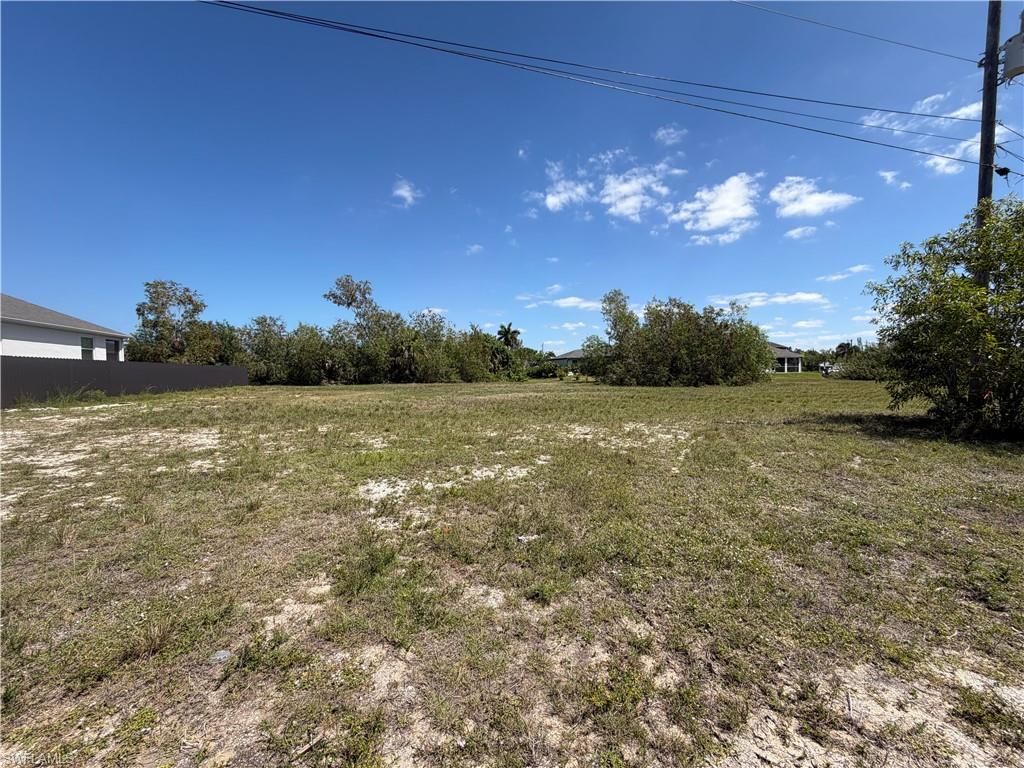 4113 NW 25th TER, CAPE CORAL, FL 33993 — exterior
