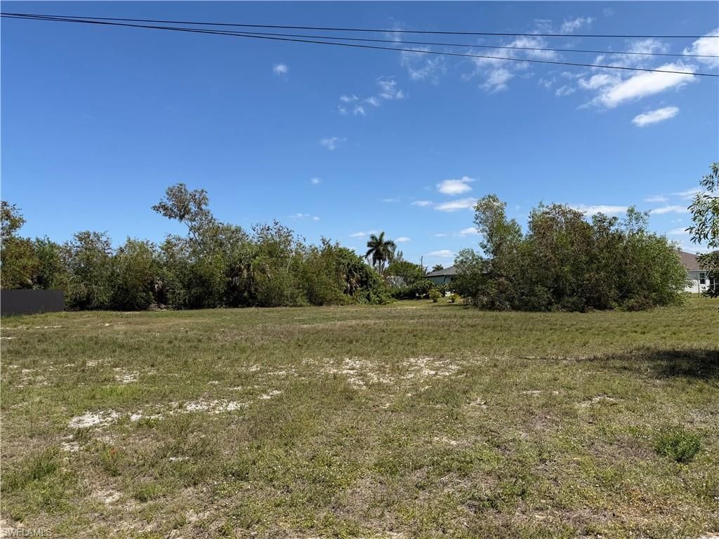 4113 NW 25th TER, CAPE CORAL, FL 33993 — photo 2