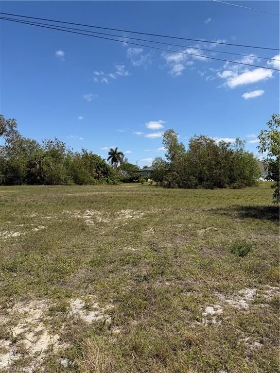 4113 NW 25th TER, CAPE CORAL, FL 33993 — photo 3