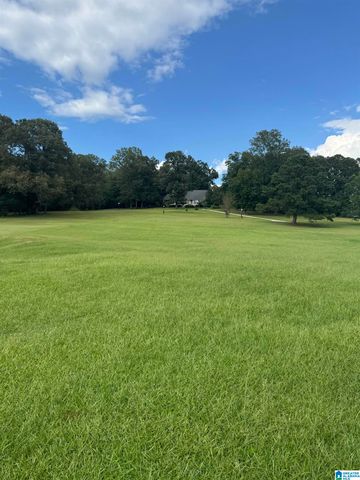 15679 HIGHWAY 42, Shelby, AL 35143