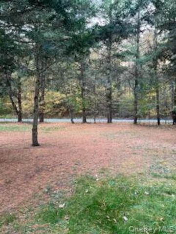 30 SoHo Circle, Fallsburg, NY 12759