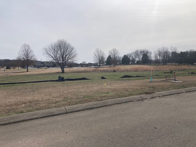 197 Creekside Dr, Lewisburg, TN 37091