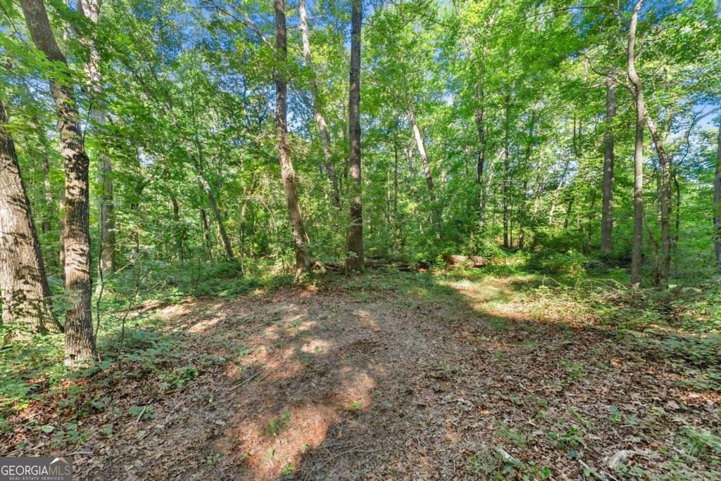 0 Prospect Road, Carnesville, GA 30521 — photo 2