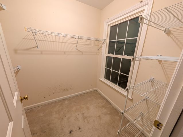 141 Dominion Court, Charleston, SC 29414