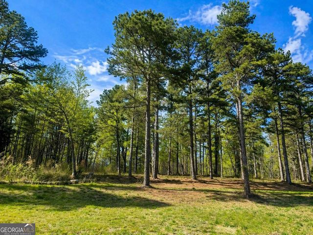 575 Hardy Road, Martin, GA 30557
