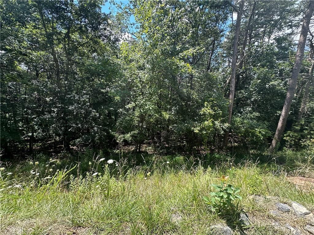 0 Oak E Trace, Jasper, GA 30143