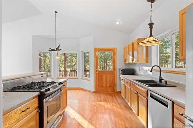 349 Gunsmoke Drive, Bailey, CO 80421