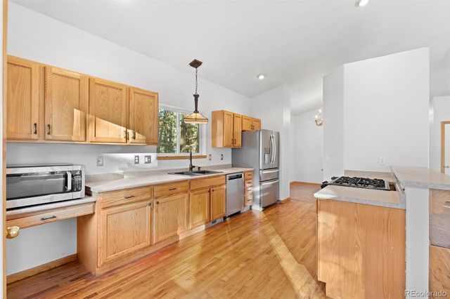 349 Gunsmoke Drive, Bailey, CO 80421