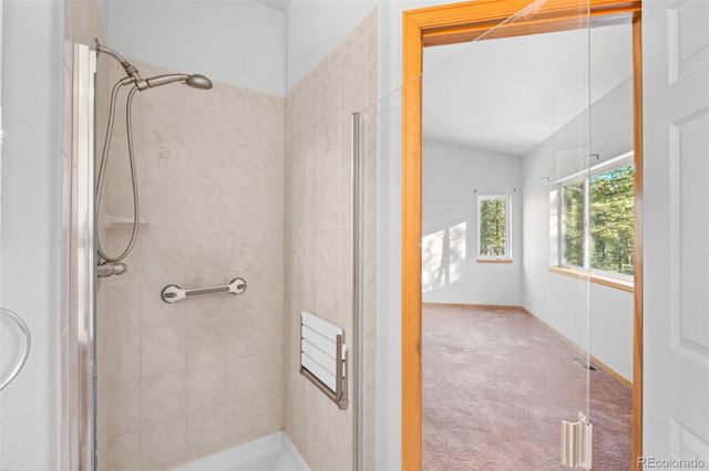 349 Gunsmoke Drive, Bailey, CO 80421