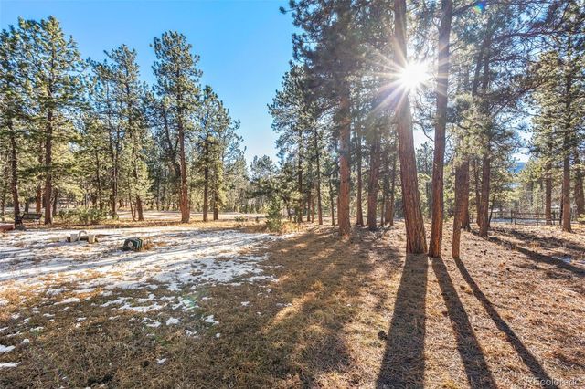 349 Gunsmoke Drive, Bailey, CO 80421
