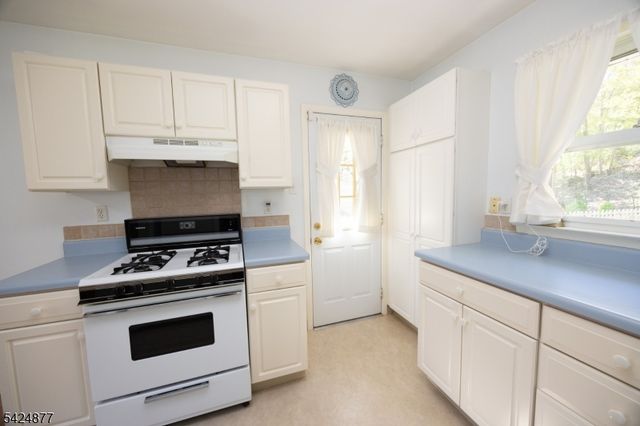 8 Dale Trl, Hopatcong Boro, NJ 07843