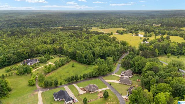 17 ASHBURY DRIVE, Warrior, AL 35180