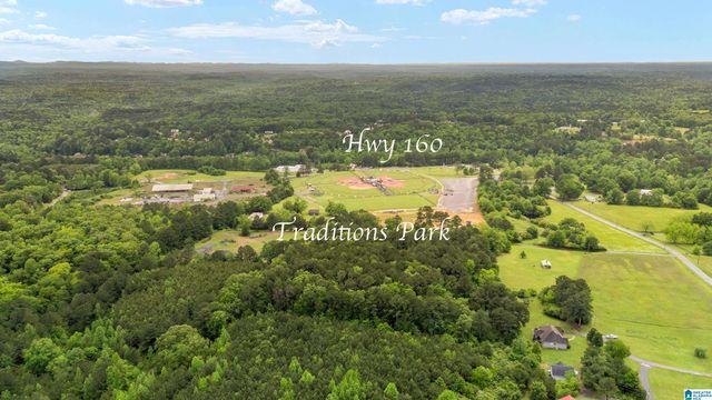 17 ASHBURY DRIVE, Warrior, AL 35180