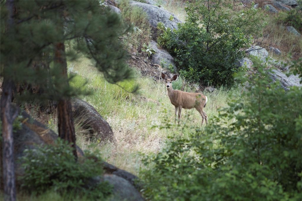 41 Sleepy Hollow Lane, Clancy, MT 59634 photo 107