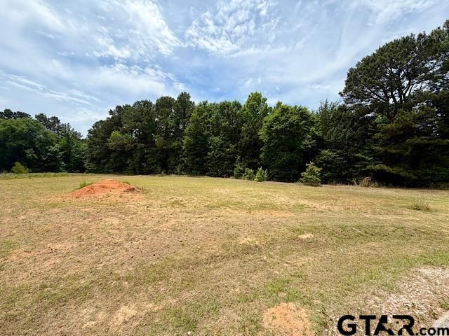 14973 Turtle Creek Ranch Road, Flint, TX 75762