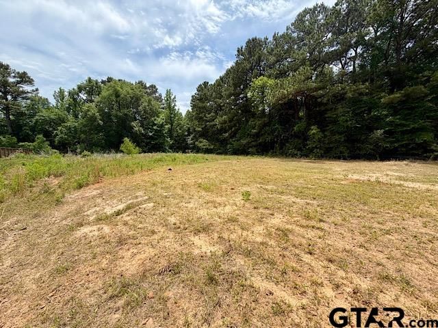 14973 Turtle Creek Ranch Road, Flint, TX 75762