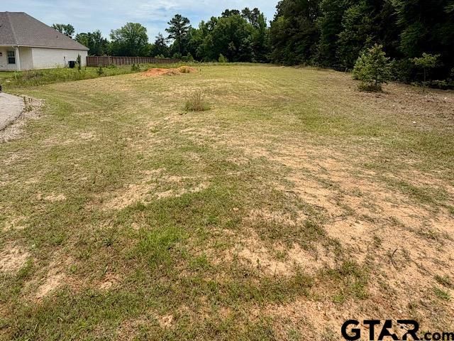 14973 Turtle Creek Ranch Road, Flint, TX 75762