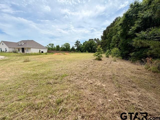 14973 Turtle Creek Ranch Road, Flint, TX 75762