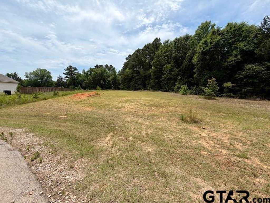 14973 Turtle Creek Ranch Road, Flint, TX 75762