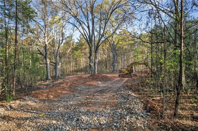 3230 Steadman Road, Tallapoosa, GA 30176