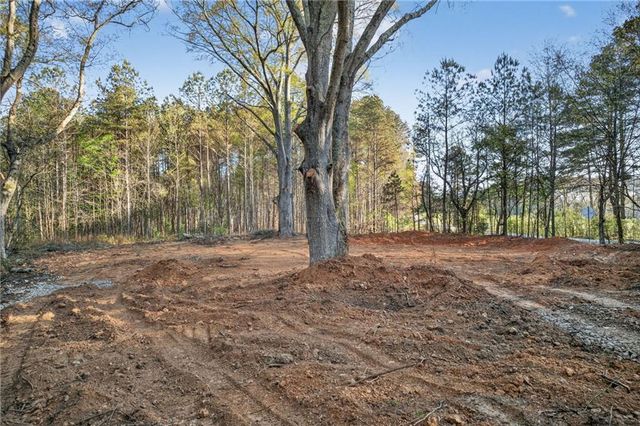 3230 Steadman Road, Tallapoosa, GA 30176
