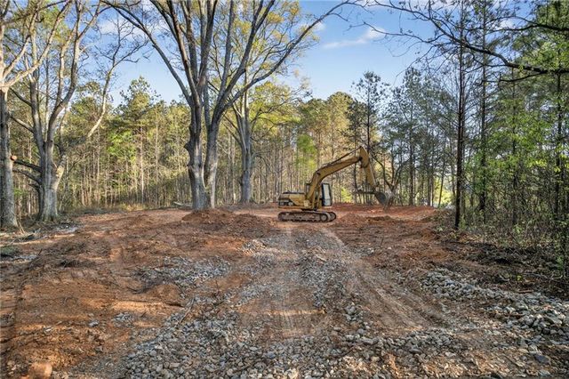 3230 Steadman Road, Tallapoosa, GA 30176